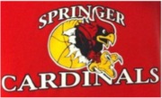 Springer Public Schools